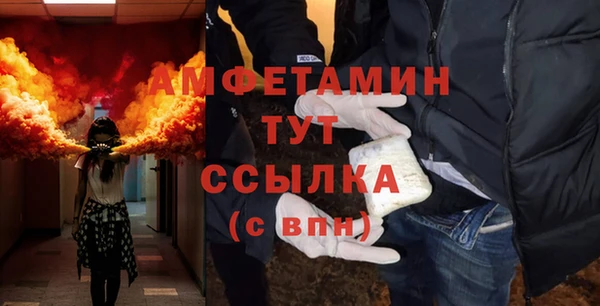 индика Ельня