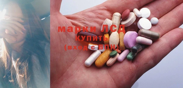 индика Ельня