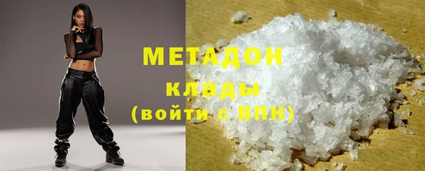 индика Ельня