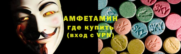индика Ельня
