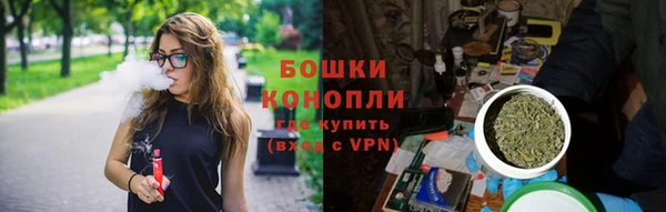 винт Елабуга