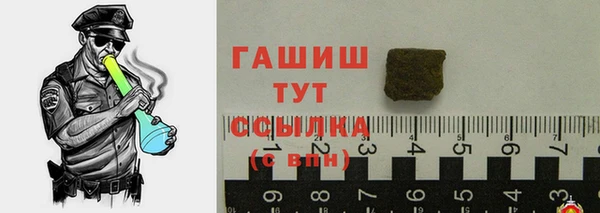индика Ельня