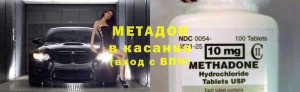 индика Ельня
