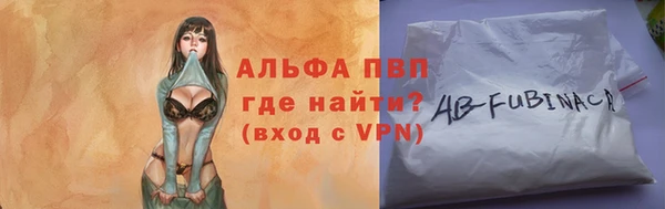 индика Ельня