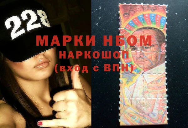 индика Ельня