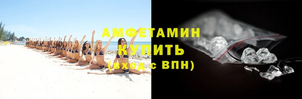 индика Ельня