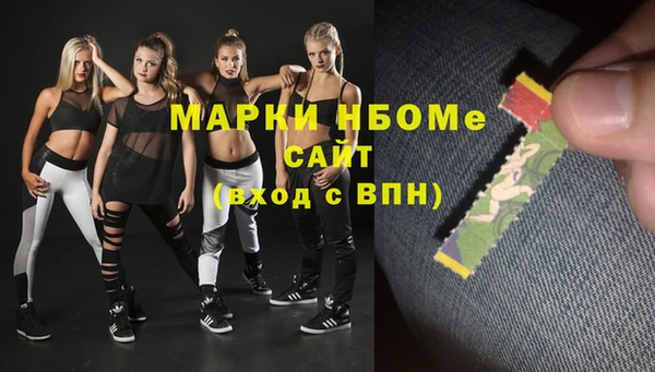 индика Ельня