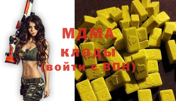 индика Ельня