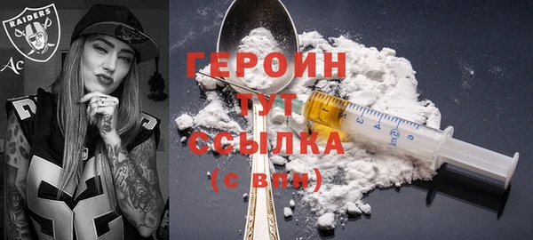 индика Ельня