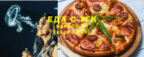 индика Ельня