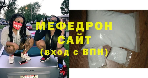 индика Ельня