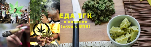 индика Ельня