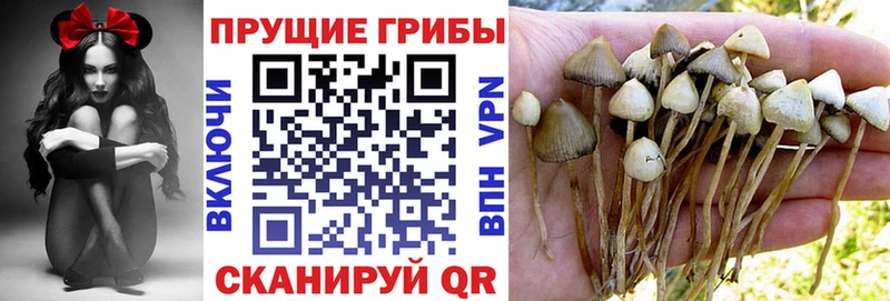 Псилоцибиновые грибы MAGIC MUSHROOMS  hydra сайт  Камбарка  как найти  